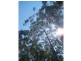 Nabiac NSW 2312