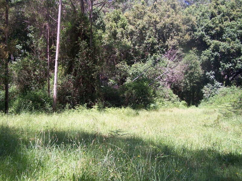 Nabiac NSW 2312