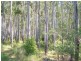 Nabiac NSW 2312
