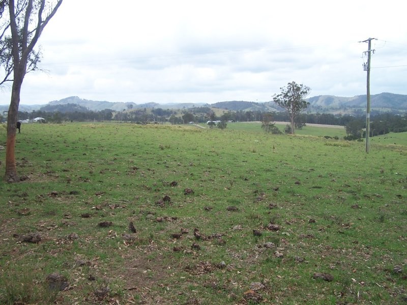 Bunyah NSW 2429