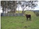 Bunyah NSW 2429