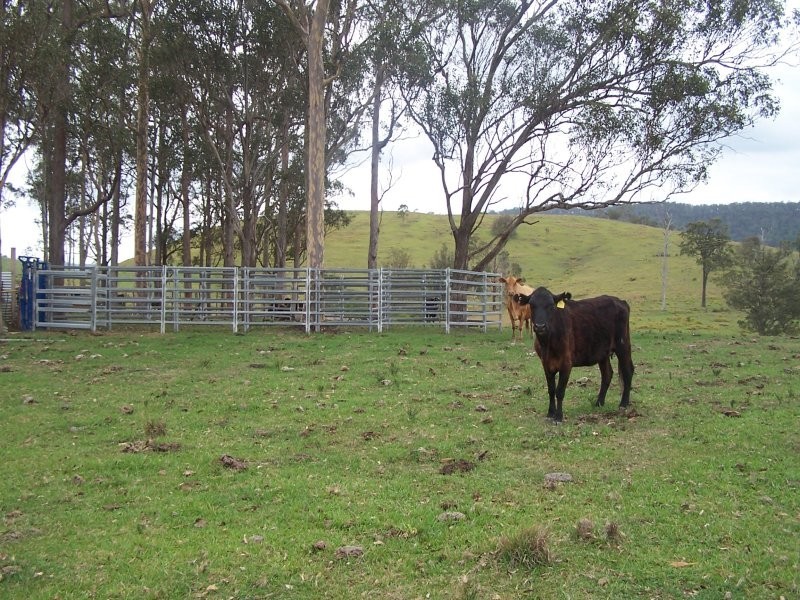 Bunyah NSW 2429