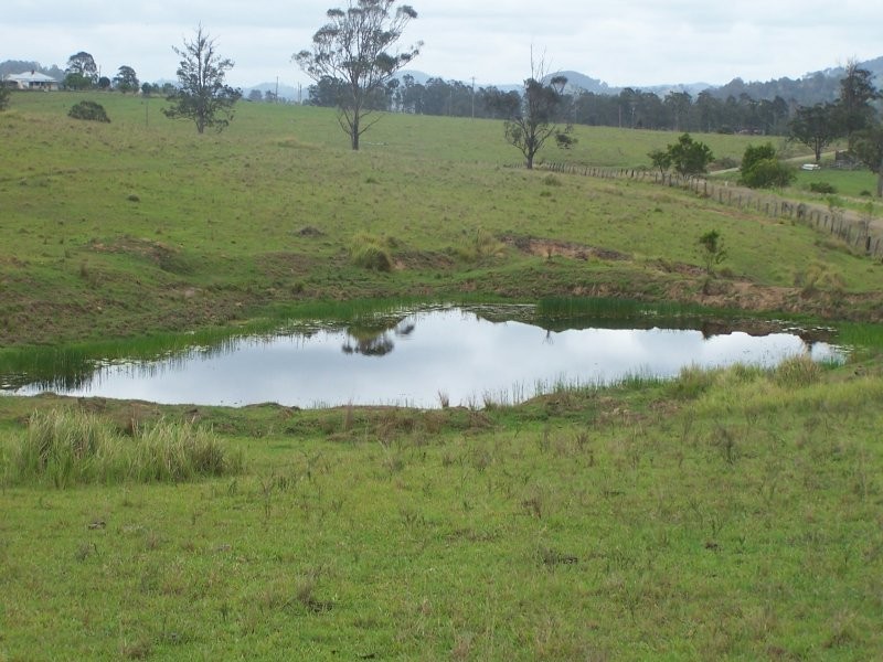 Bunyah NSW 2429