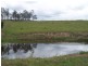 Bunyah NSW 2429