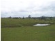 Bunyah NSW 2429
