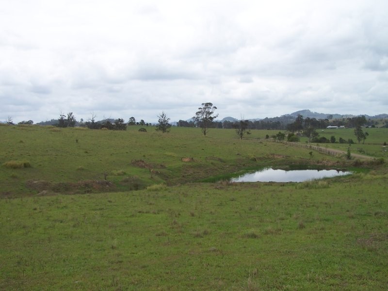 Bunyah NSW 2429