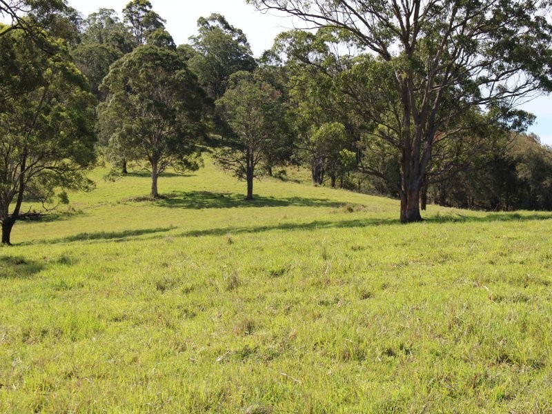 Dyers Crossing NSW 2429