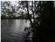 Nabiac NSW 2312