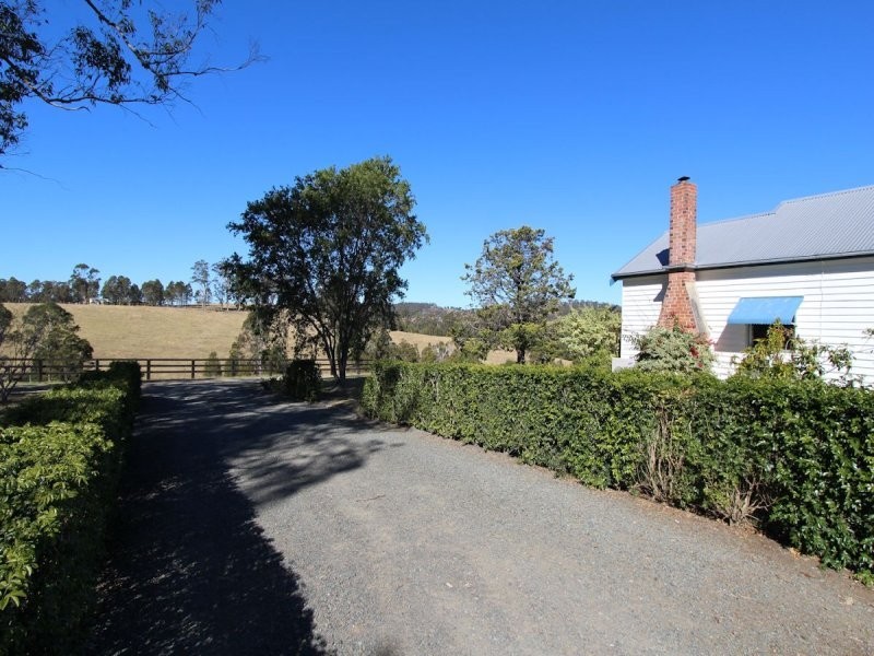 Firefly NSW 2429