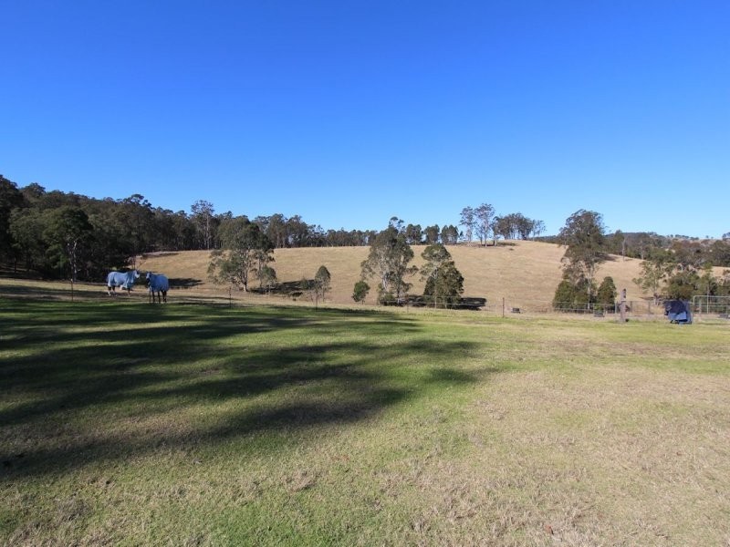Firefly NSW 2429