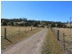 Firefly NSW 2429
