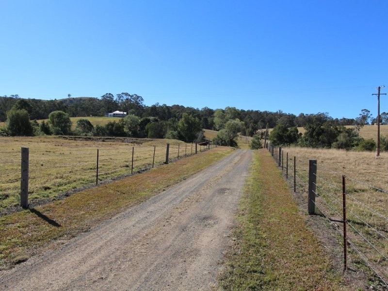 Firefly NSW 2429