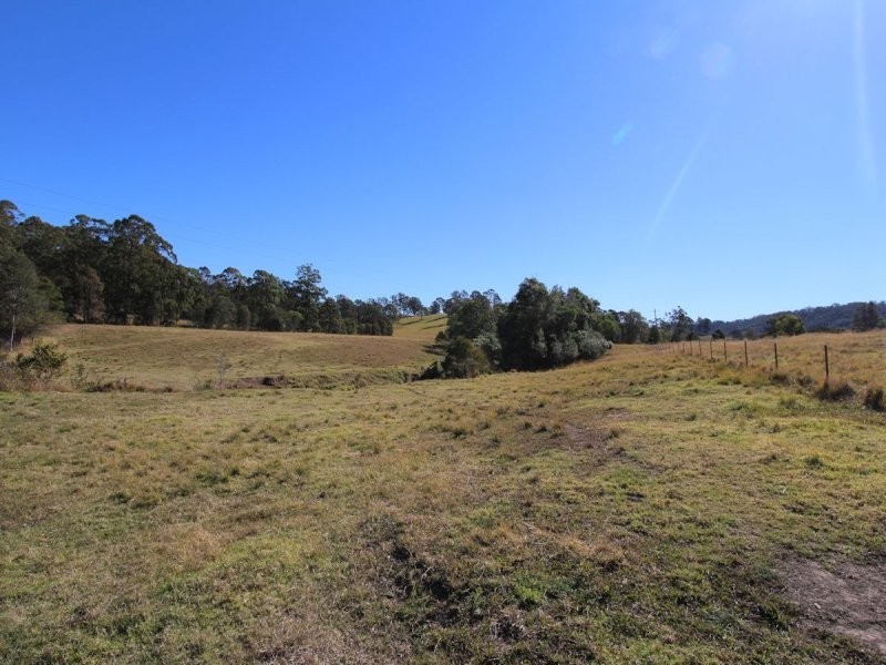 Firefly NSW 2429