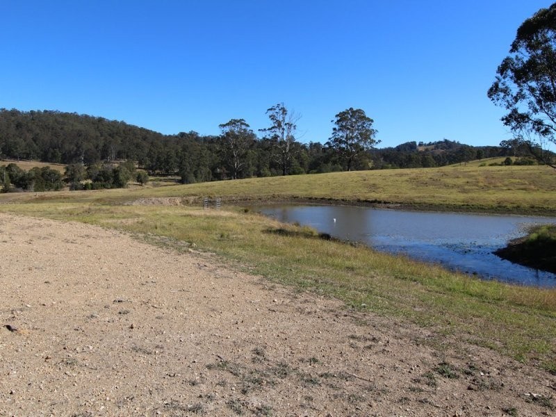 Firefly NSW 2429