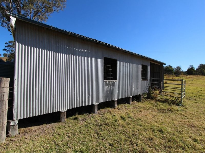 Firefly NSW 2429