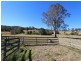 Firefly NSW 2429