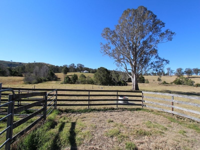 Firefly NSW 2429