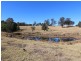 Firefly NSW 2429
