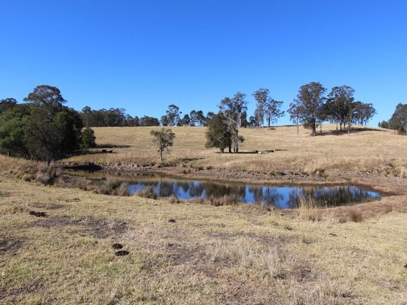Firefly NSW 2429