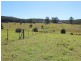 Possum Brush NSW 2430