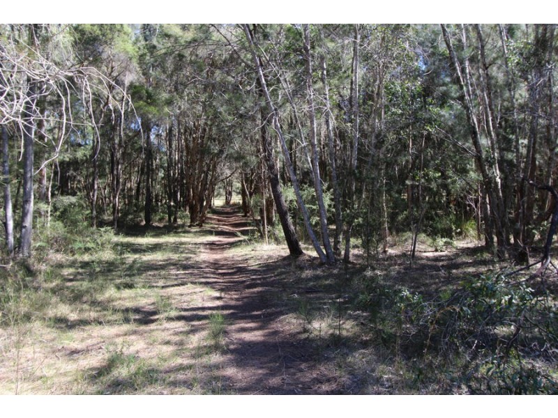 Nabiac NSW 2312