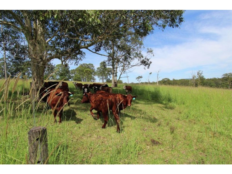 Rainbow Flat NSW 2430