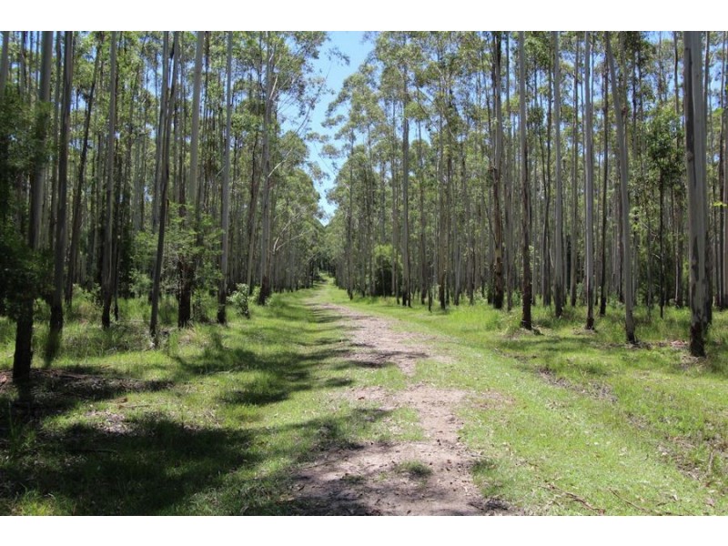 Nabiac NSW 2312