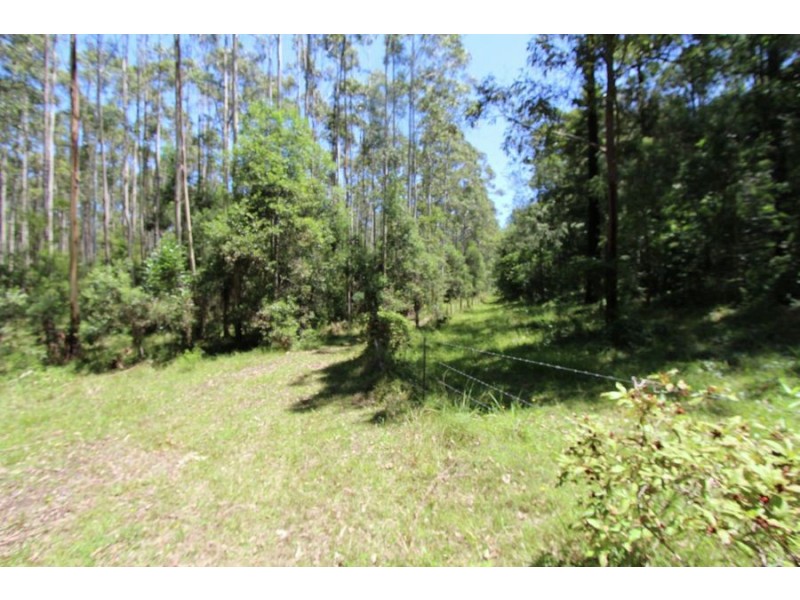 Nabiac NSW 2312