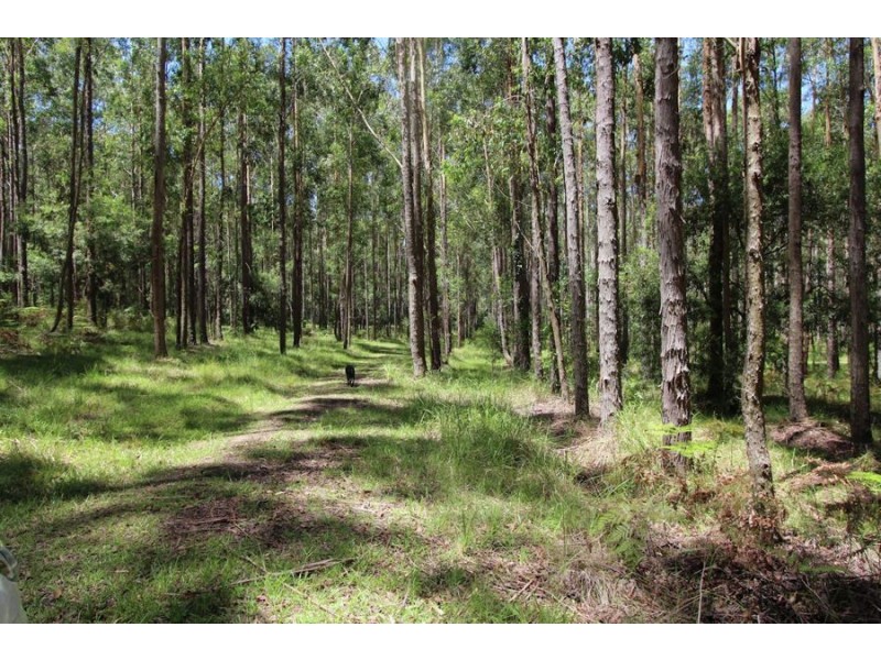 Nabiac NSW 2312