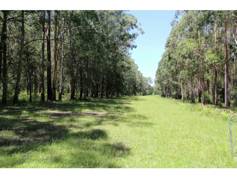Nabiac NSW 2312