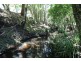 Nabiac NSW 2312