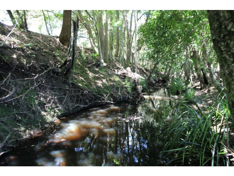 Nabiac NSW 2312