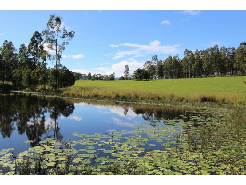 Dyers Crossing NSW 2429