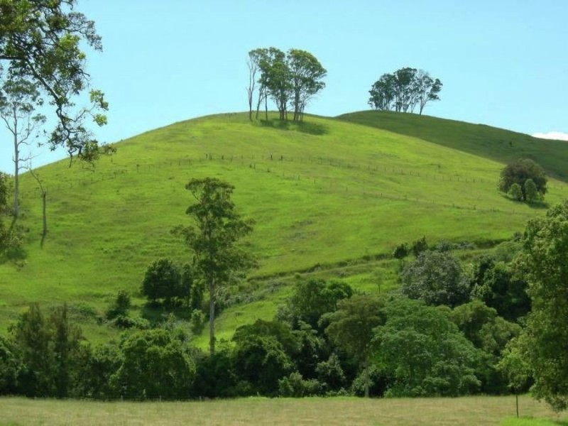 Bucca Wauka NSW 2429