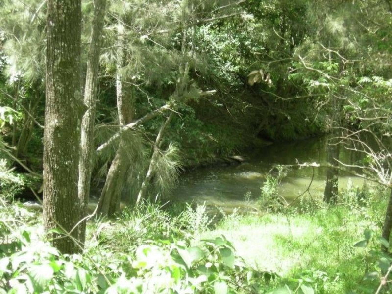 Bucca Wauka NSW 2429