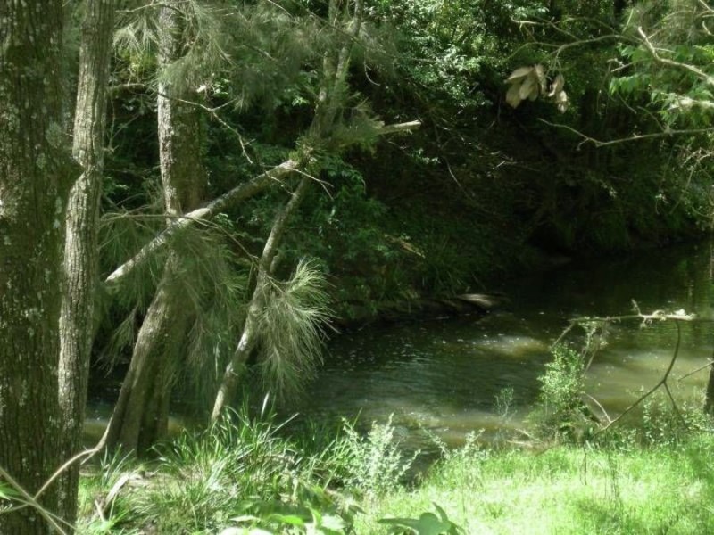 Bucca Wauka NSW 2429