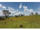 392 Mograni Road, Gloucester NSW 2422