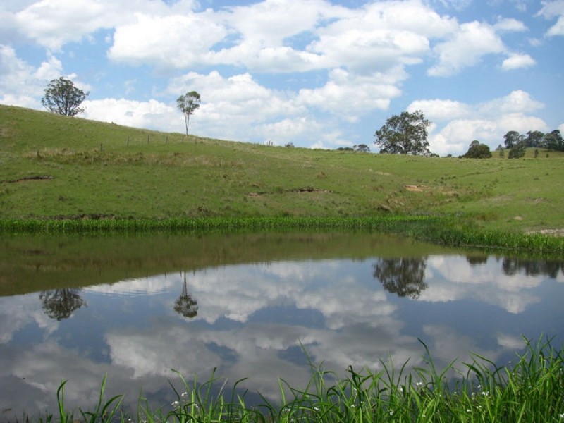 392 Mograni Road, Gloucester NSW 2422