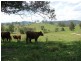 392 Mograni Road, Gloucester NSW 2422