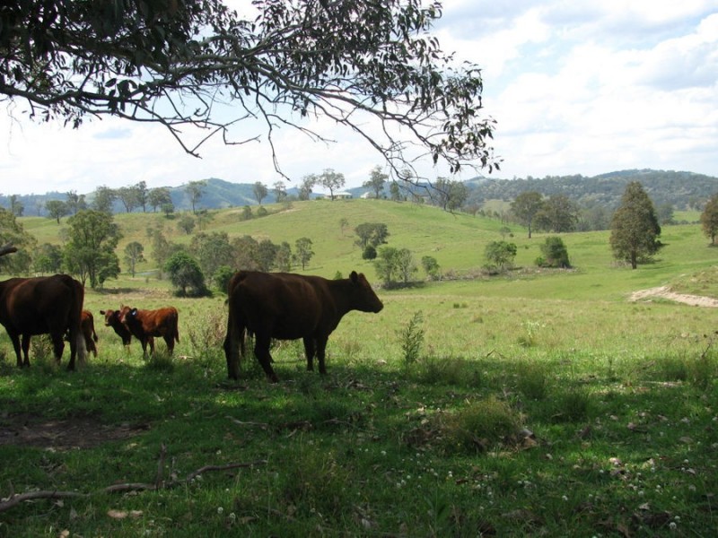 392 Mograni Road, Gloucester NSW 2422