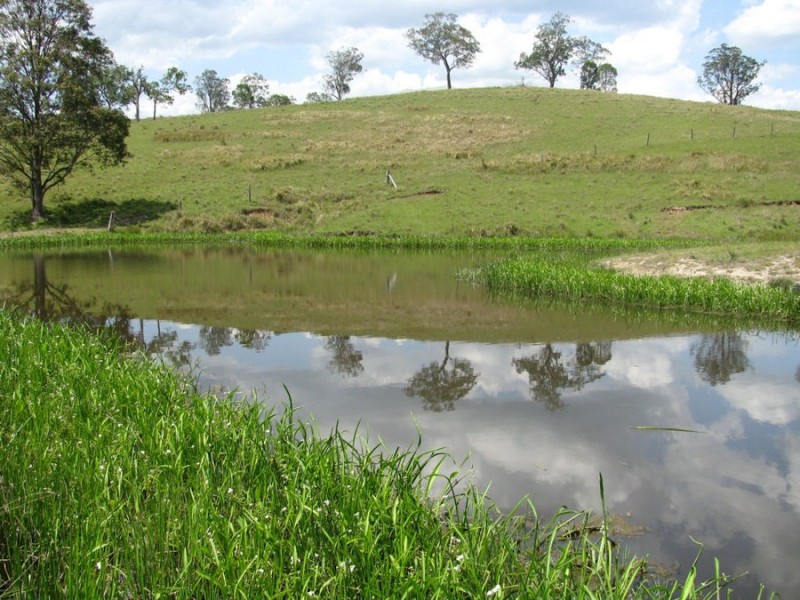 392 Mograni Road, Gloucester NSW 2422