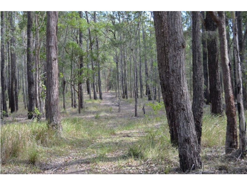 Lot 1 Woodlands Road, Nabiac NSW 2312