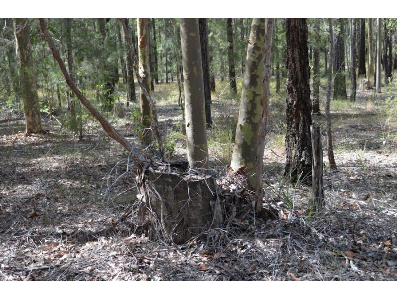 Lot 1 Woodlands Road, Nabiac NSW 2312