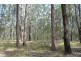 Lot 1 Woodlands Road, Nabiac NSW 2312