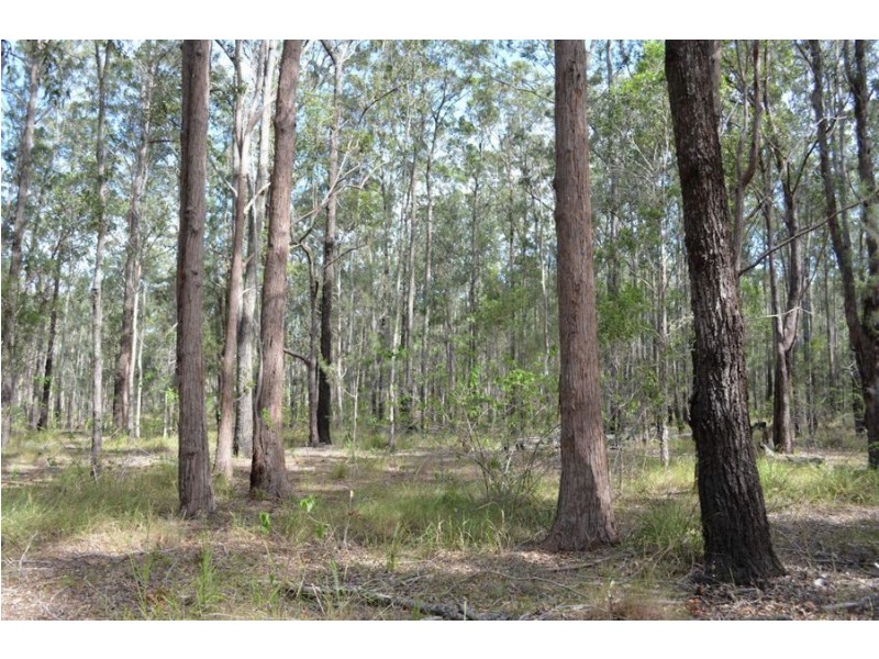 Lot 1 Woodlands Road, Nabiac NSW 2312