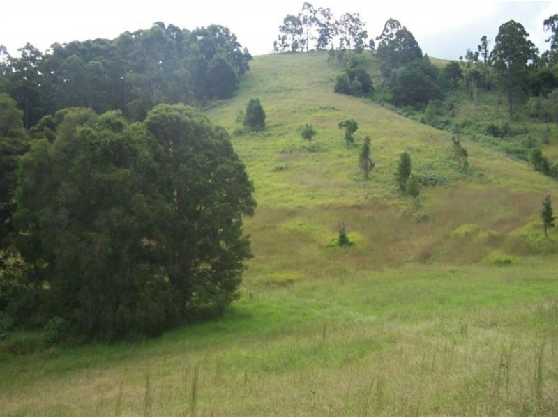 191 Saxby Lane, Kundibakh NSW 2429