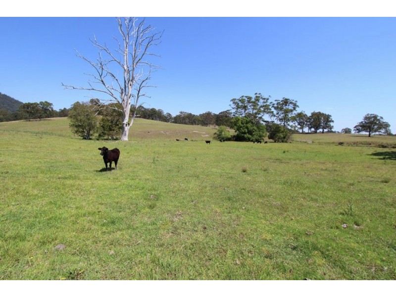 Coolongolook NSW 2423