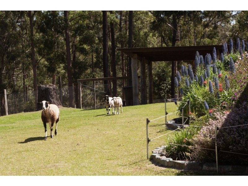 213 Tallwood Drive, Rainbow Flat NSW 2430
