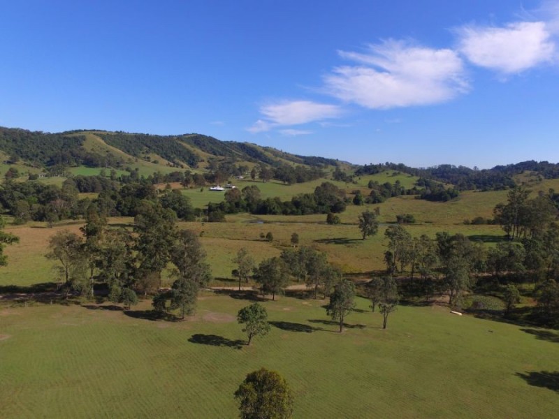 872 Wang Wauk Rd, Wang Wauk NSW 2423