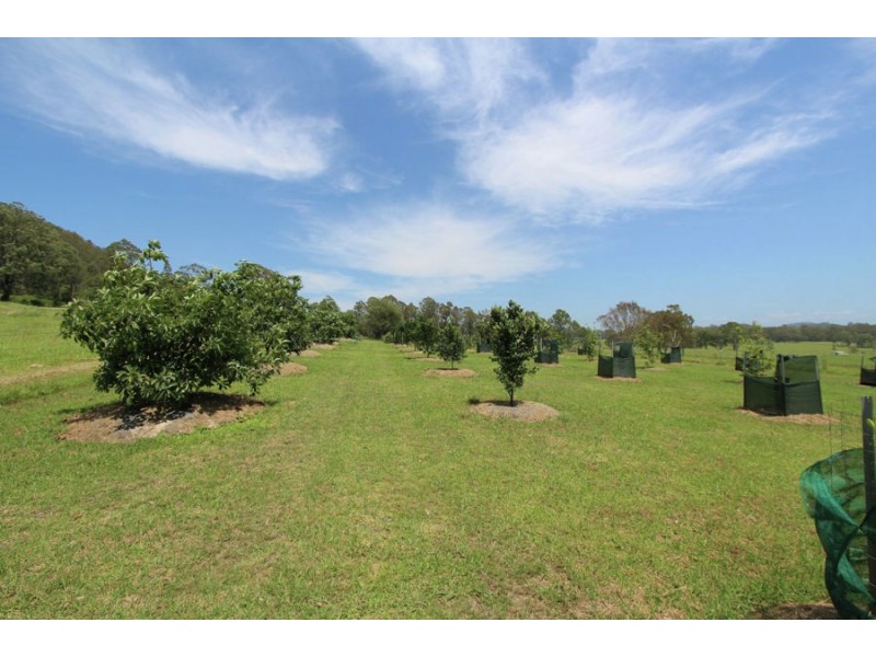 Dyers Crossing NSW 2429